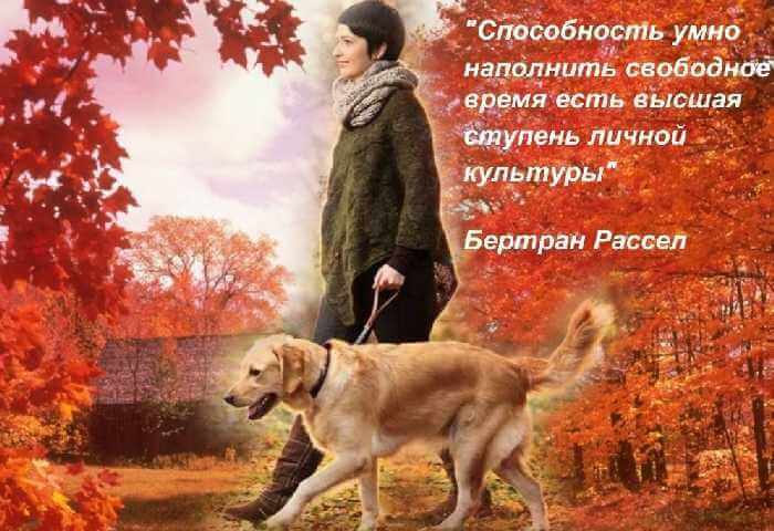 заведите домашнего питомца