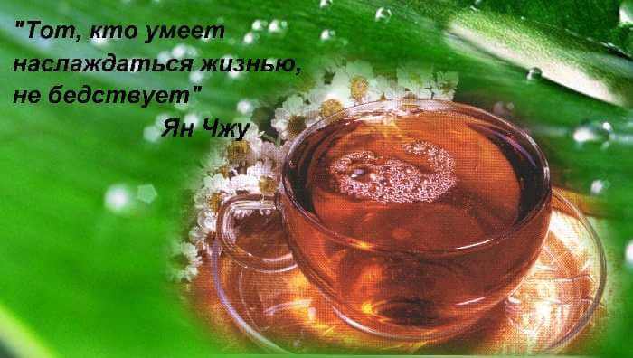 какие напитки лучше пить